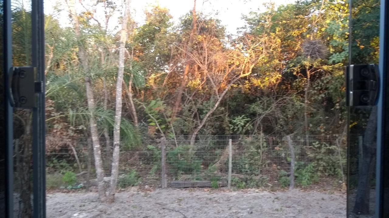 Chacara Pousada Sagui Cuiabá Eksteriør billede